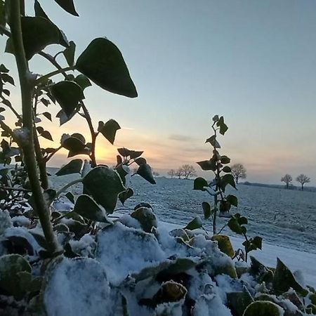 Zum Kranichblick Lägenhet Glinstedt Exteriör bild